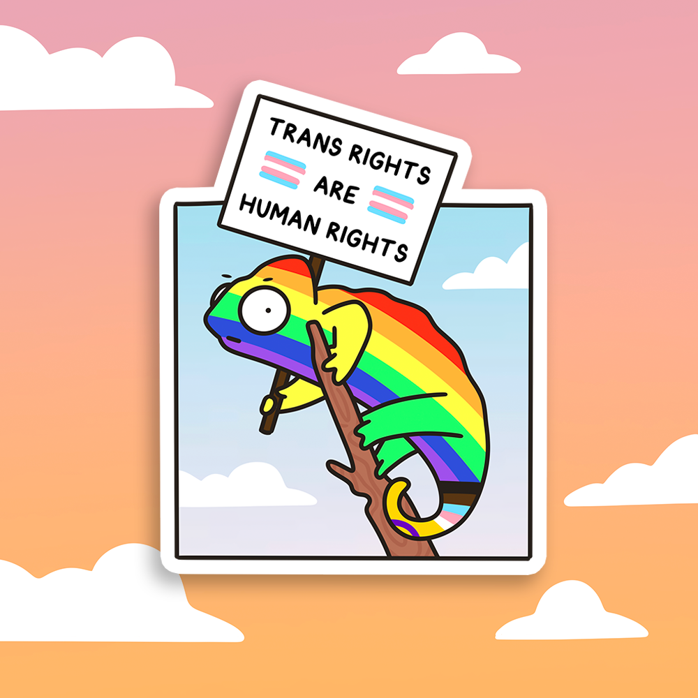 Trans Rights Sticker